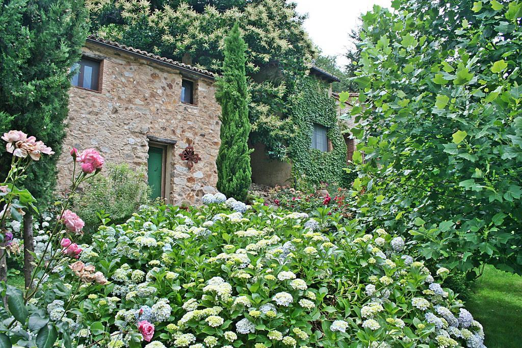 Finca El Carpintero Jerte Eksteriør billede