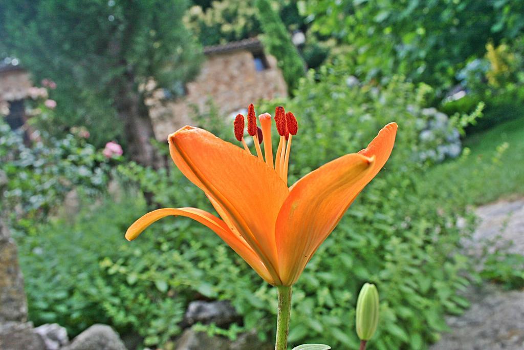 Finca El Carpintero Jerte Eksteriør billede