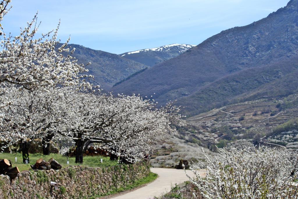 Finca El Carpintero Jerte Eksteriør billede